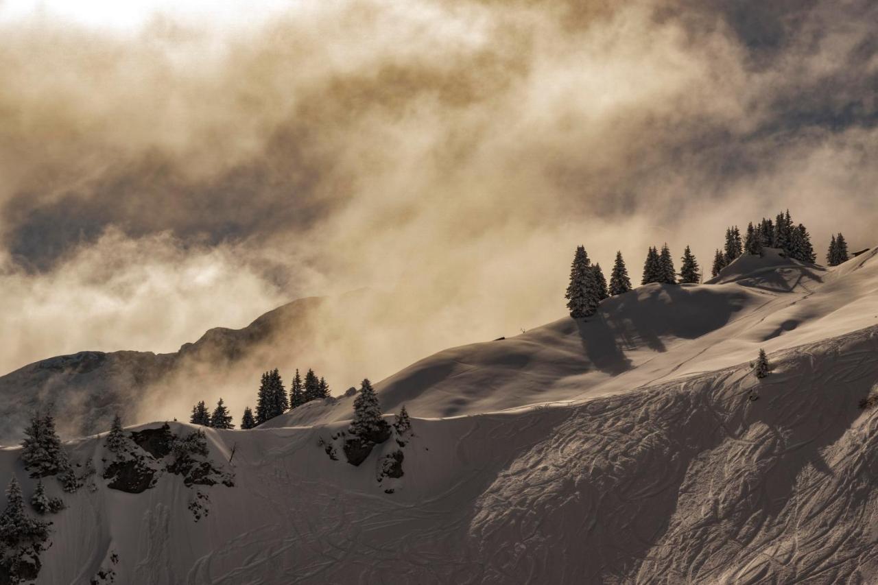 Gori Boutique Apartments - Tirol Reuthe Buitenkant foto
