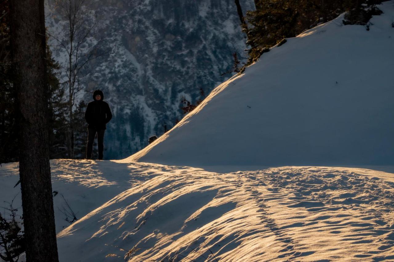 Gori Boutique Apartments - Tirol Reuthe Buitenkant foto